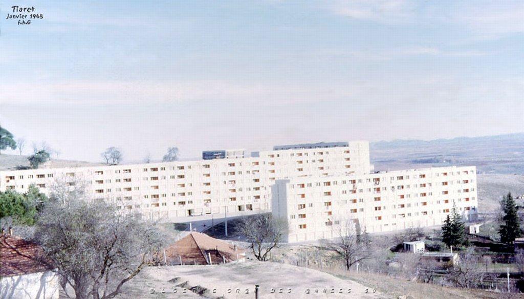 TIARET 1965.jpg